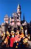 Mickey and friends in front of Castle