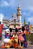 Mickey and friends in front of Castle